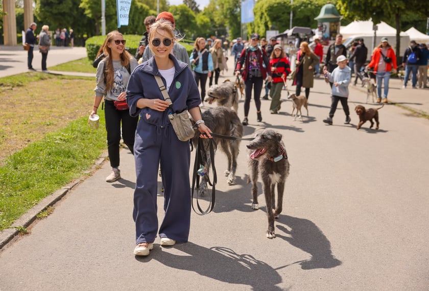 Wrocławski Charytatywny Spacer z Chartami we Wrocławiu z okazji Wiosennego Dnia Charta