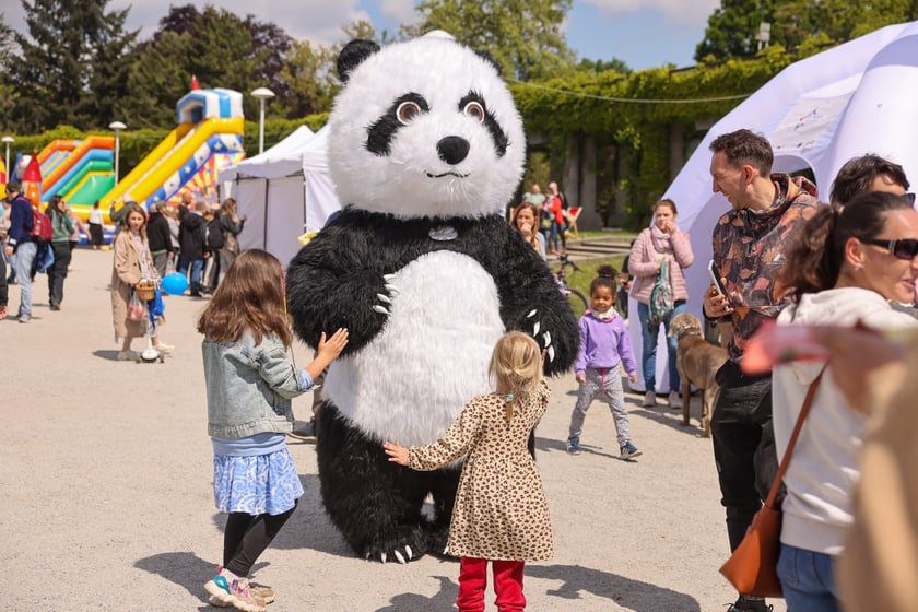 Piknik z okazji Dni Funduszy Europejskich na Pergoli we Wrocławiu