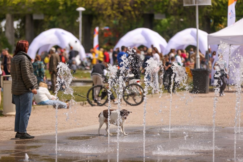 Piknik z okazji Dni Funduszy Europejskich na Pergoli we Wrocławiu