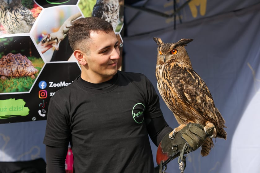 Piknik rodzinny na Praczach Odrzańskich