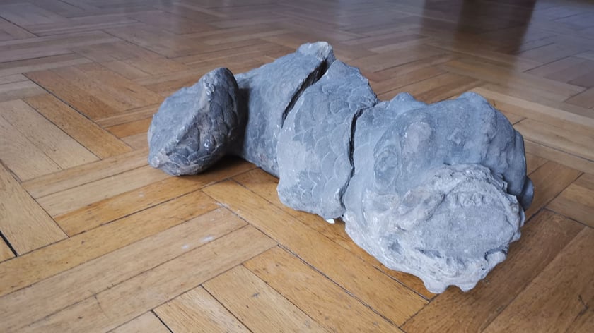 Fragment rzeźby Neptuna - jeden z delfinów