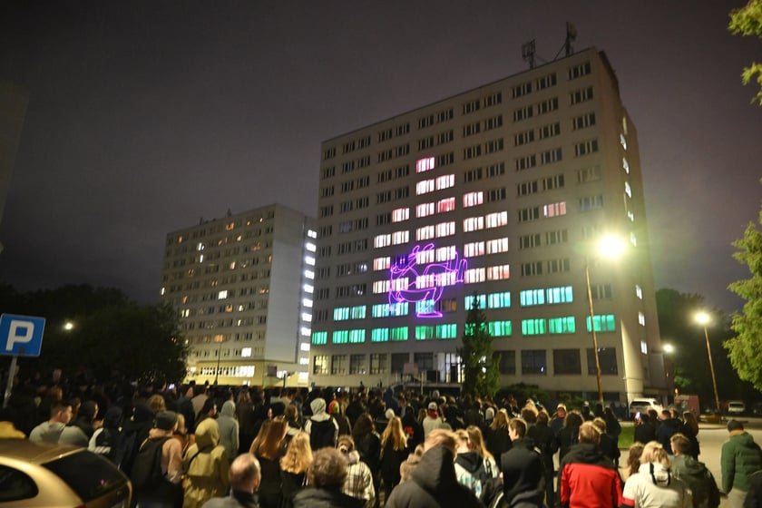 PIWO, czyli Potężny Indeksowany Wyświetlacz Oknowy na Wittigowie. Edycja 2025