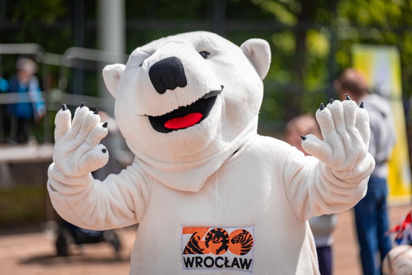 Dzień otwarty Zajezdni Gaj - 24.05.2025