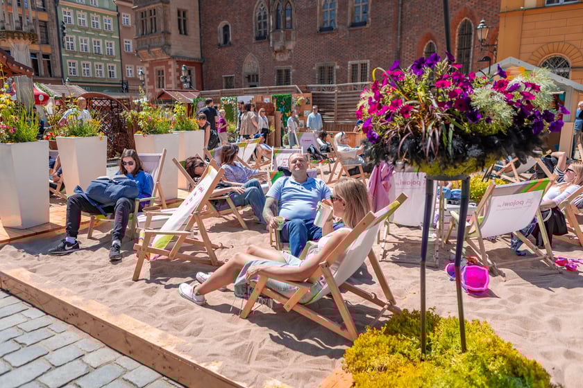 Niedziela na Jarmarku Świętojańskim - 25.05.2025