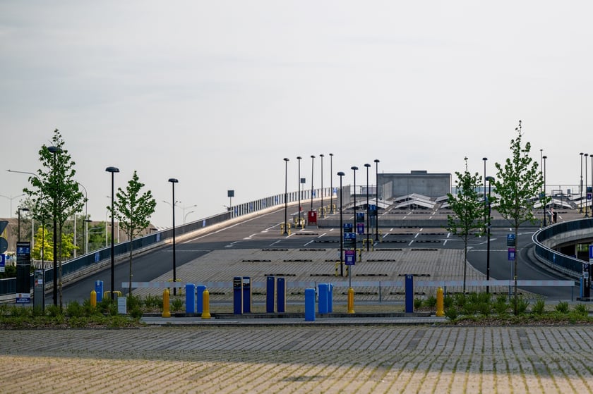 Wokół stadionu Tarczyński Arena pojawiły się zielone nasadzenia - w sumie 1800 nowych roślin