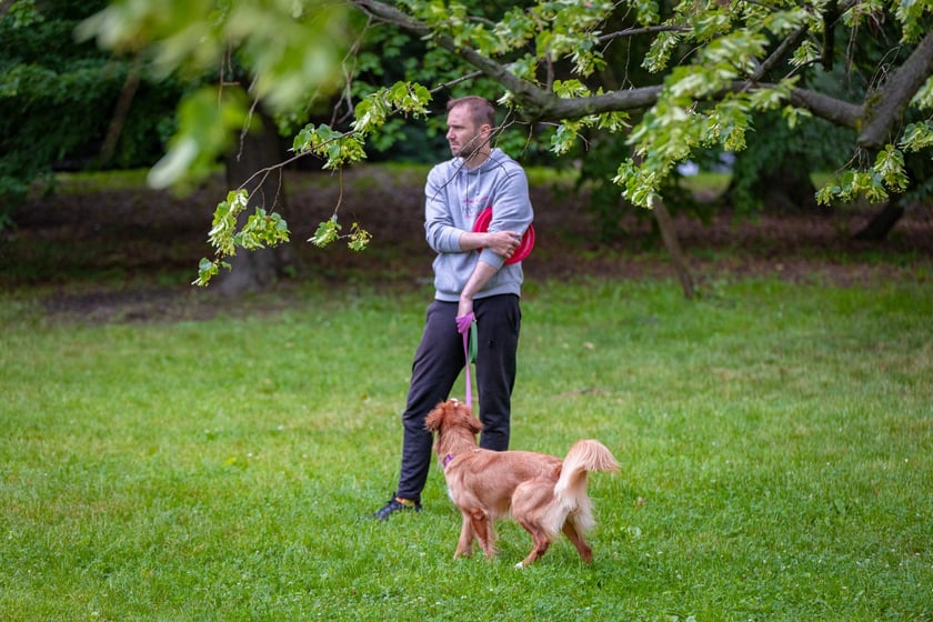 Mistrzostwa Polski Dogfrisbee 2025 - latające psy w parku Południowym