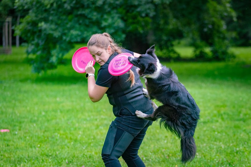 Mistrzostwa Polski Dogfrisbee 2025 - latające psy w parku Południowym