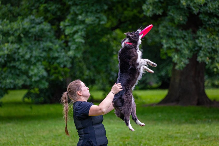 Mistrzostwa Polski Dogfrisbee 2025 - latające psy w parku Południowym