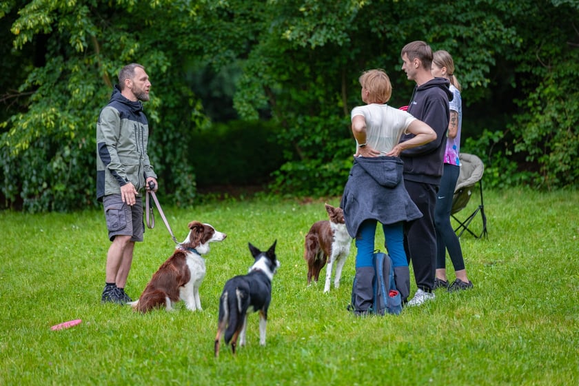Mistrzostwa Polski Dogfrisbee 2025 - latające psy w parku Południowym