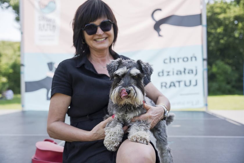 Wielki Piknik Charytatywny Grupy Ratuj w parku Grabiszyńskim