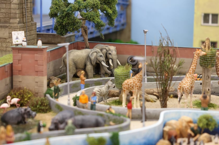 Miniaturowe ZOO w Kolejkowie