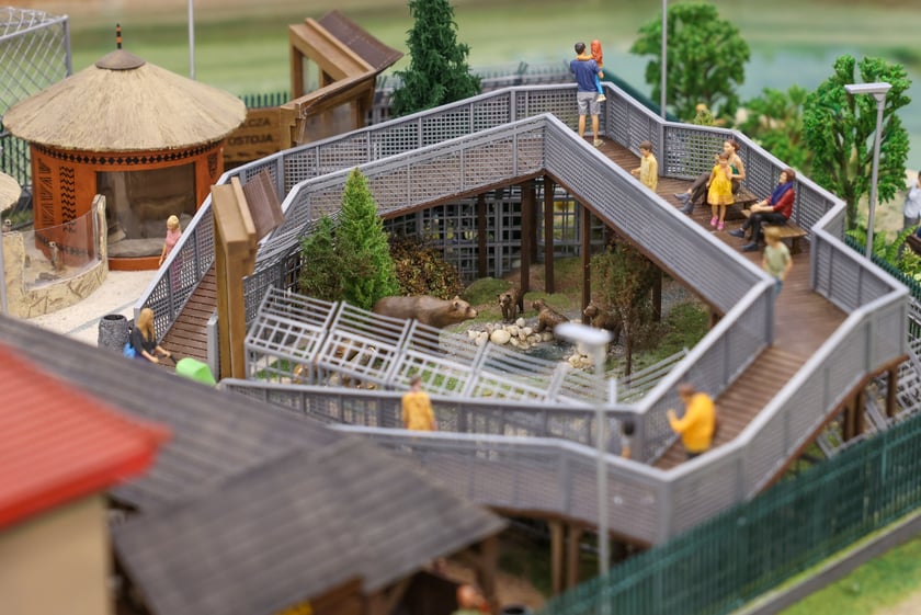 Miniaturowe ZOO w Kolejkowie