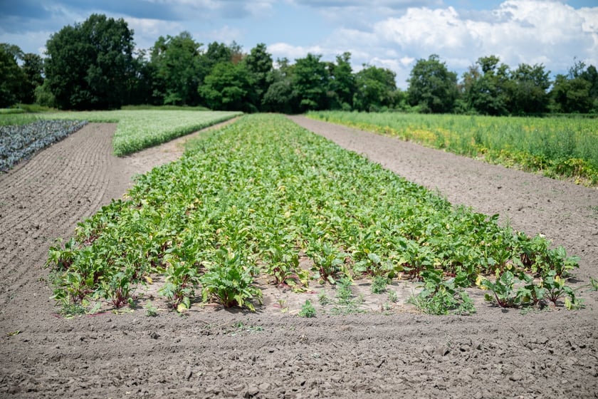 Spotkanie na Farmie Miejskiej, 18 lipca 2025