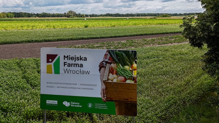 Spotkanie na Farmie Miejskiej, 18 lipca 2025