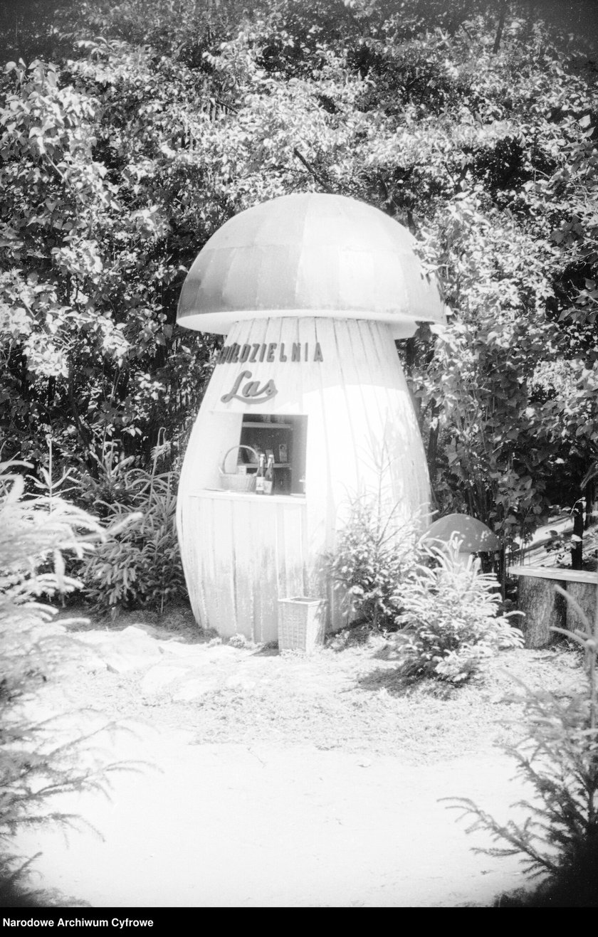 Wystawa Ziem Odzyskanych otwarta 21 lipca 1948 roku