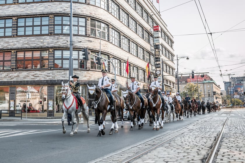 Konie Straży Miejskiej we Wrocławiu