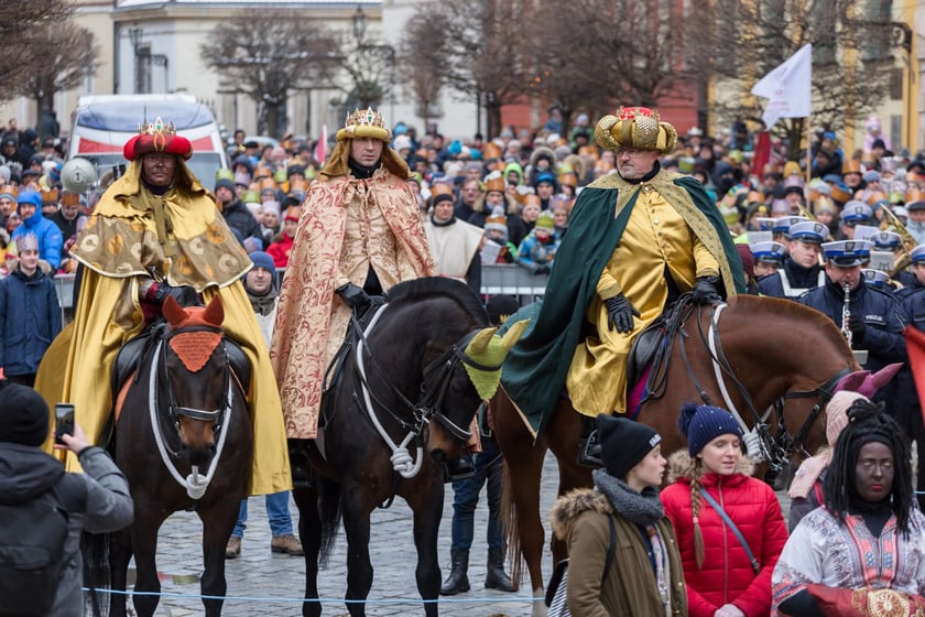 Konie Straży Miejskiej we Wrocławiu
