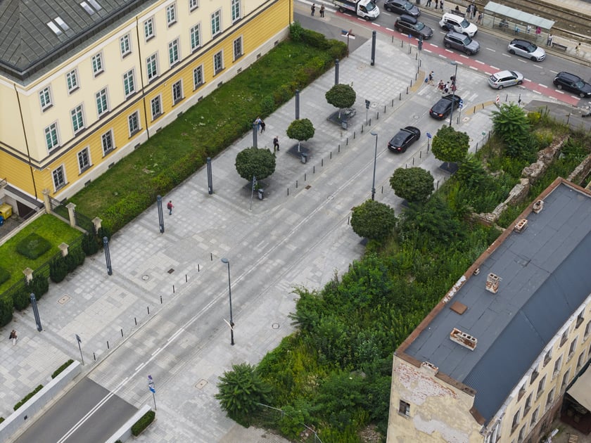 Ulica Zamkowa przed nowymi nasadzeniami - sierpień 2025 r.