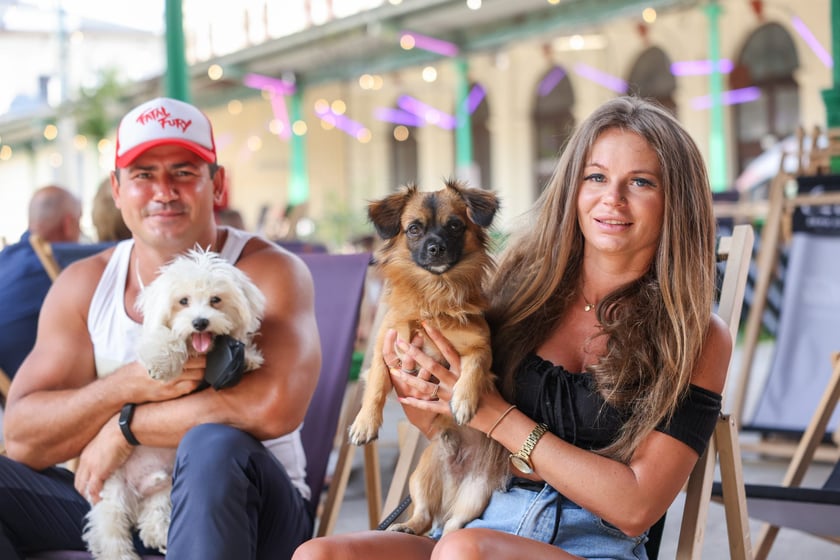 Targi dla zwierzaków na Świebodzkim