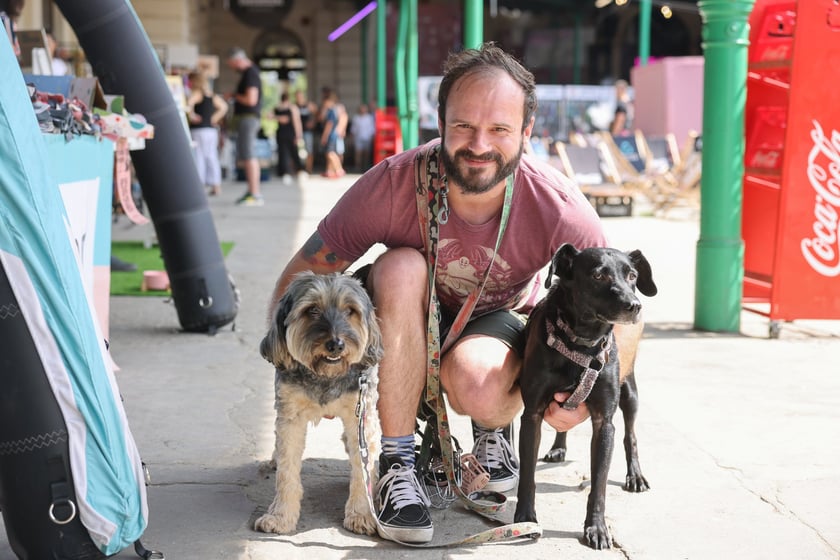 Targi dla zwierzaków na Świebodzkim