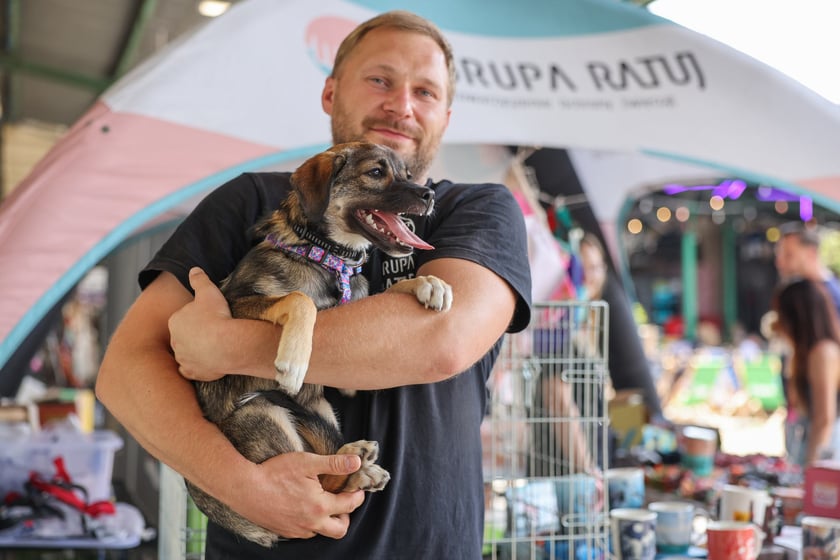 Targi dla zwierzaków na Świebodzkim