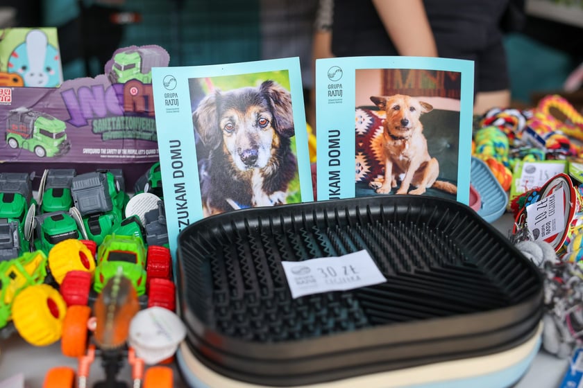 Targi dla zwierzaków na Świebodzkim