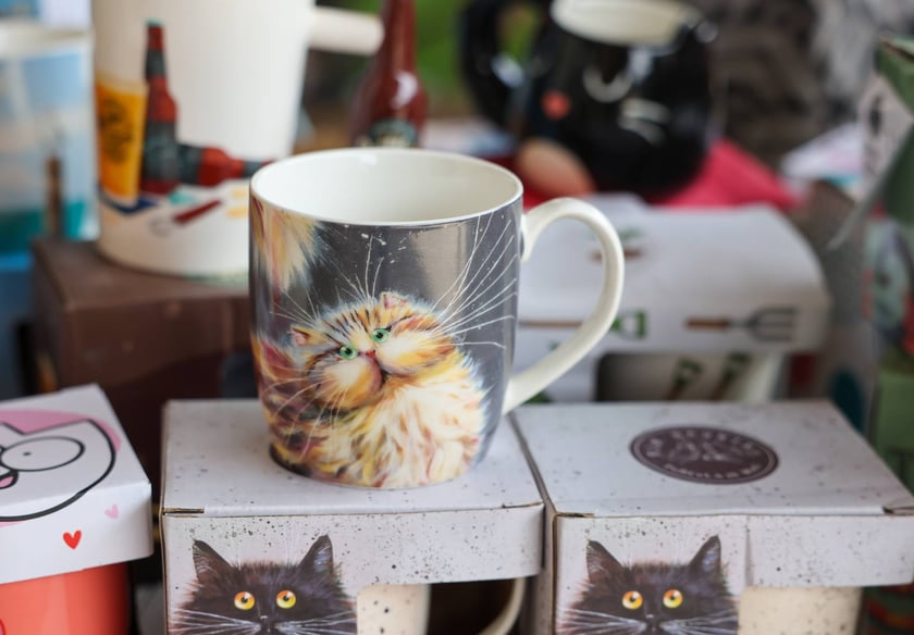 Targi dla zwierzaków na Świebodzkim