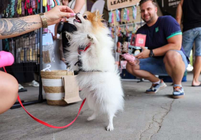 Targi dla zwierzaków na Świebodzkim