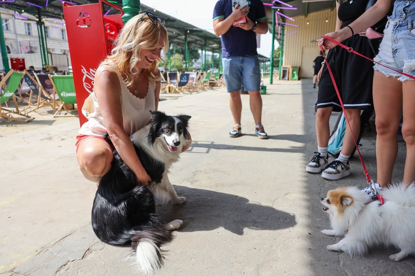 Targi dla zwierzaków na Świebodzkim