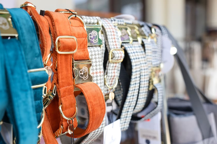 Targi dla zwierzaków na Świebodzkim