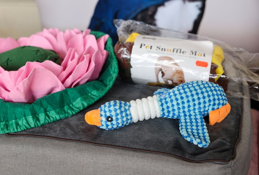 Targi dla zwierzaków na Świebodzkim