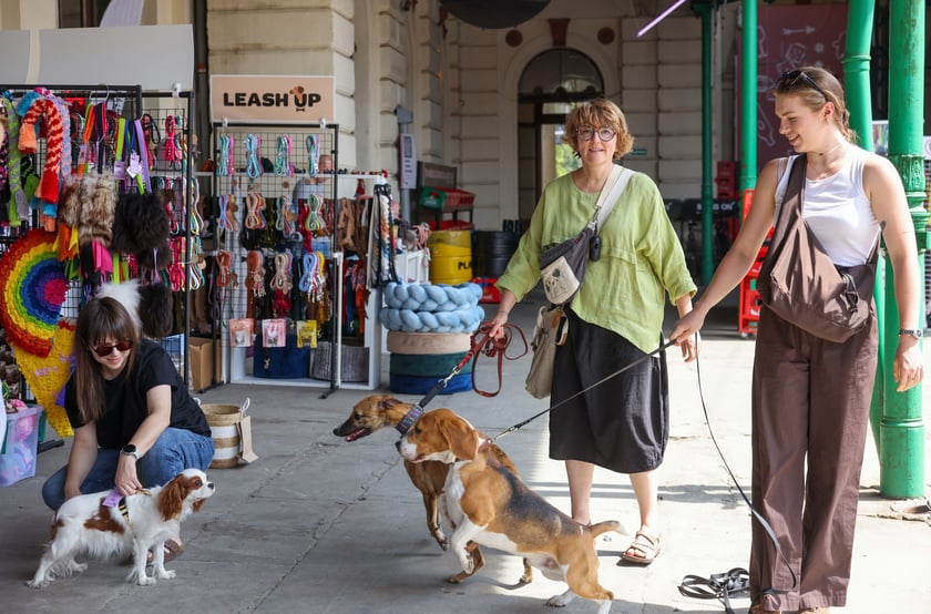 Targi dla zwierzaków na Świebodzkim