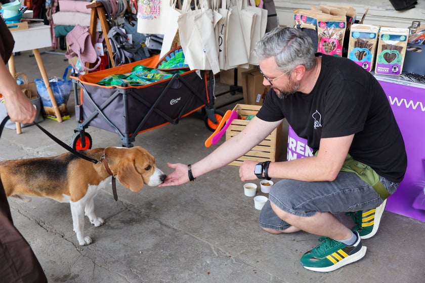 Targi dla zwierzaków na Świebodzkim