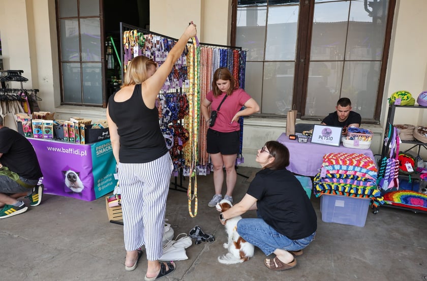 Targi dla zwierzaków na Świebodzkim