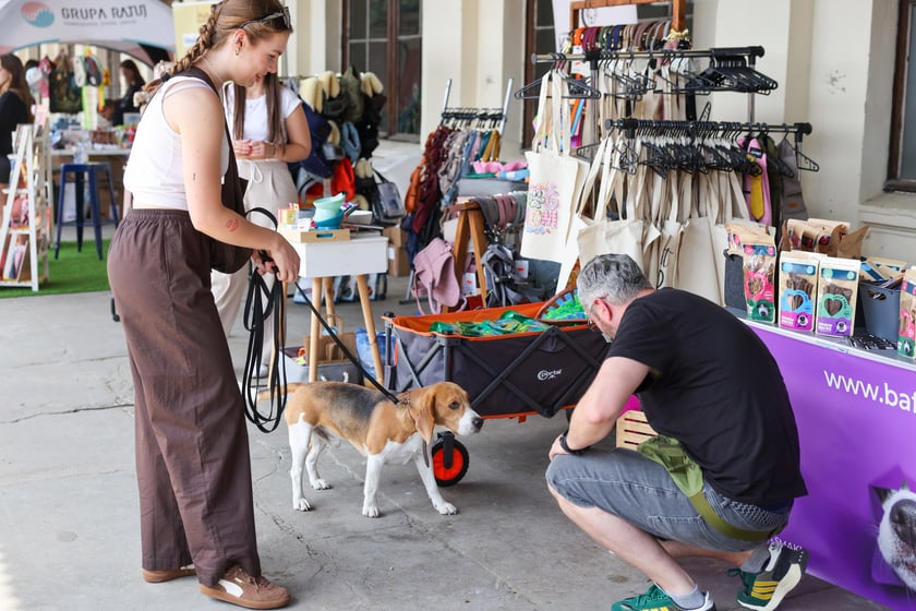 Targi dla zwierzaków na Świebodzkim