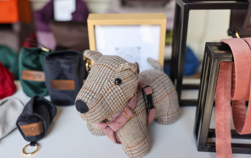 Targi dla zwierzaków na Świebodzkim