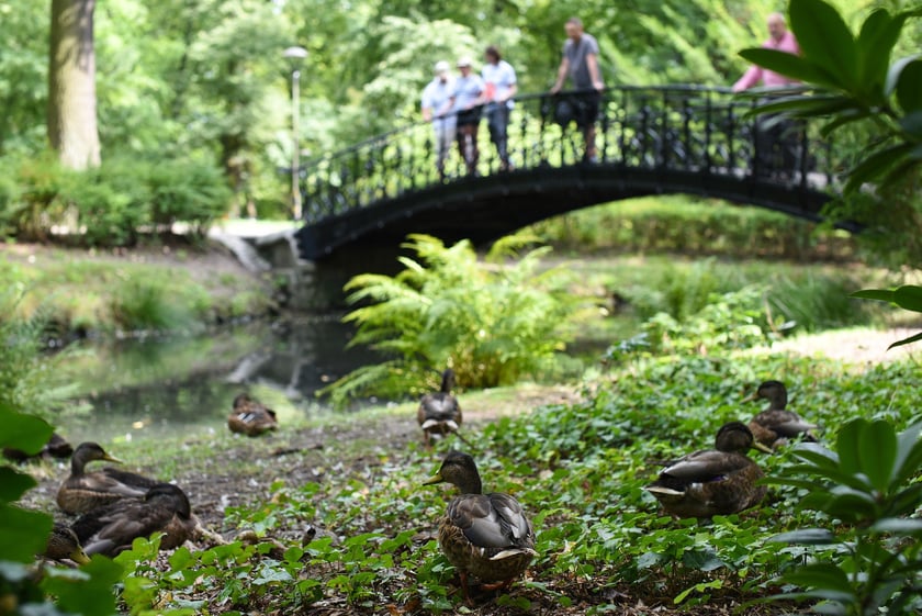 Upalna sobota (9 sierpnia) we Wrocławiu