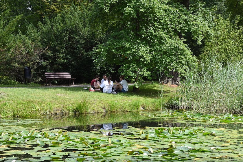 Upalna sobota (9 sierpnia) we Wrocławiu