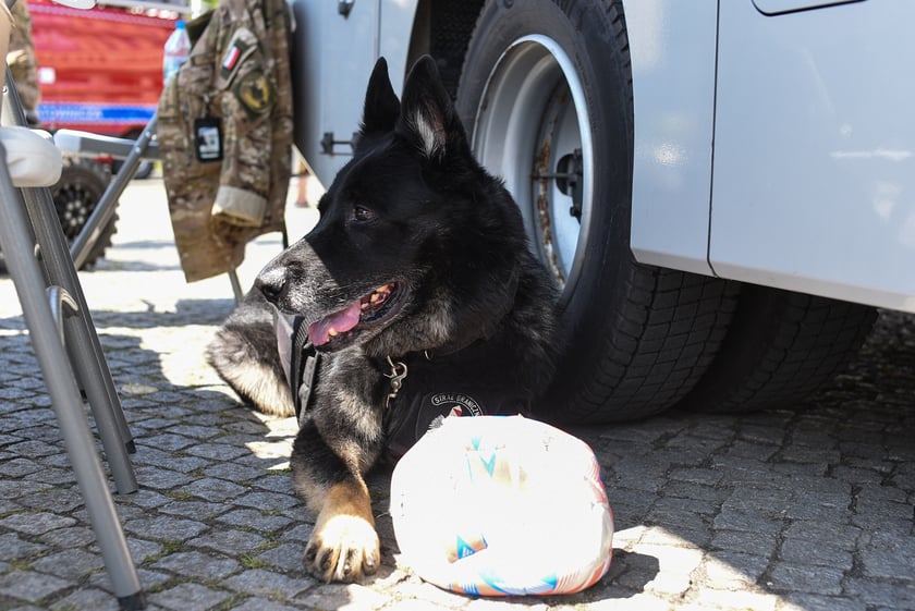 Piknik bezpieczeństwa przy Hali Stulecia - niedziela 10 sierpnia