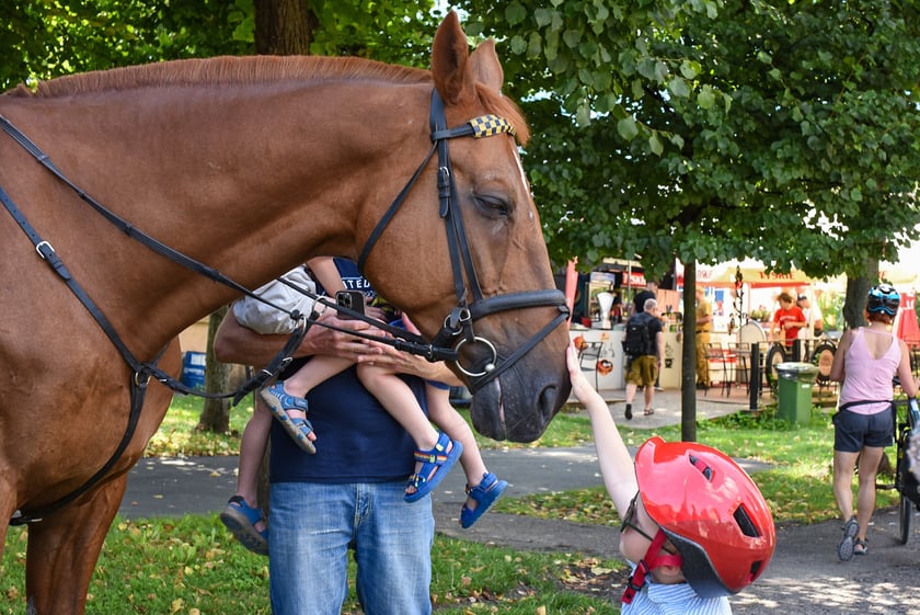 Piknik bezpieczeństwa przy Hali Stulecia - niedziela 10 sierpnia