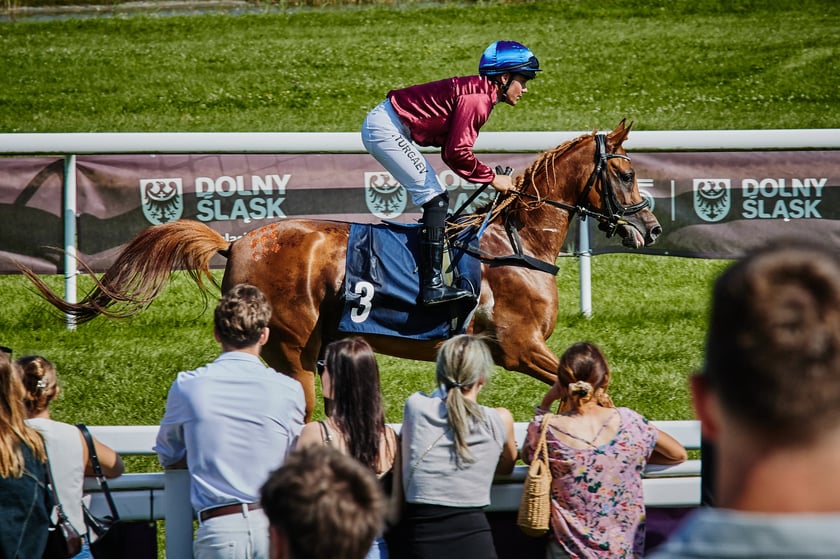 7 dzień wyścigowy na Partynicach - 10.08.25