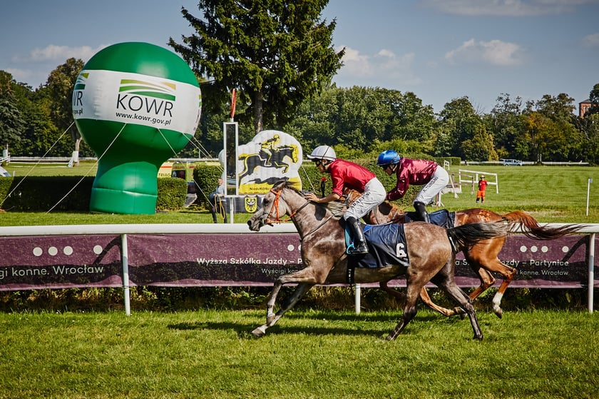 7 dzień wyścigowy na Partynicach - 10.08.25