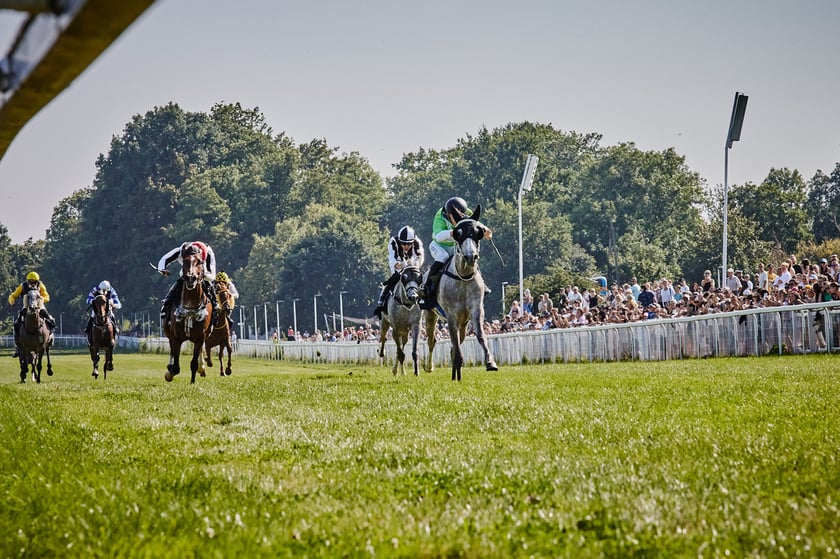 7 dzień wyścigowy na Partynicach - 10.08.25
