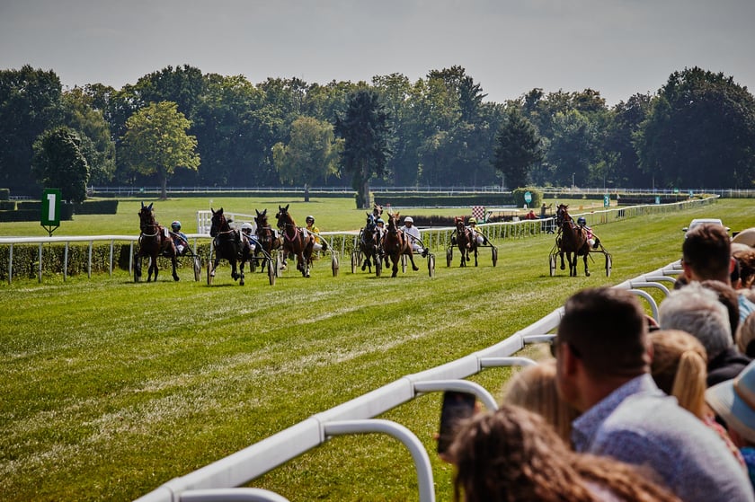 7 dzień wyścigowy na Partynicach - 10.08.25
