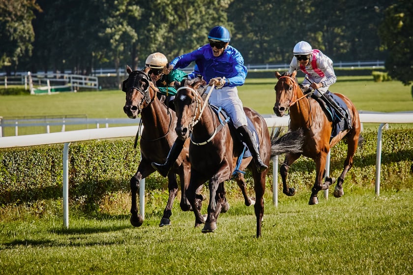 7 dzień wyścigowy na Partynicach - 10.08.25