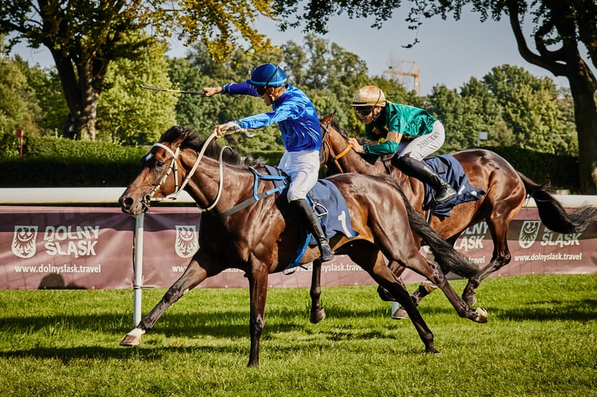 7 dzień wyścigowy na Partynicach - 10.08.25