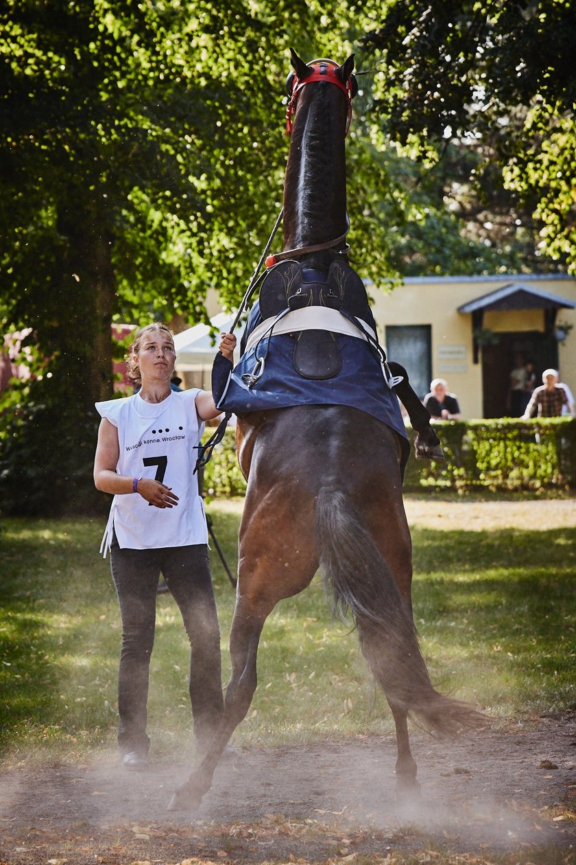 7 dzień wyścigowy na Partynicach - 10.08.25