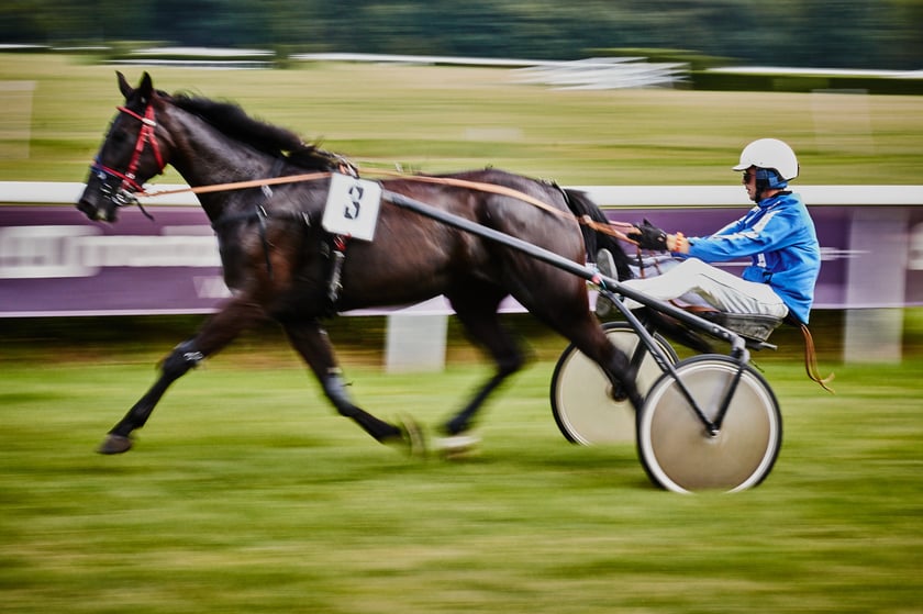 7 dzień wyścigowy na Partynicach - 10.08.25