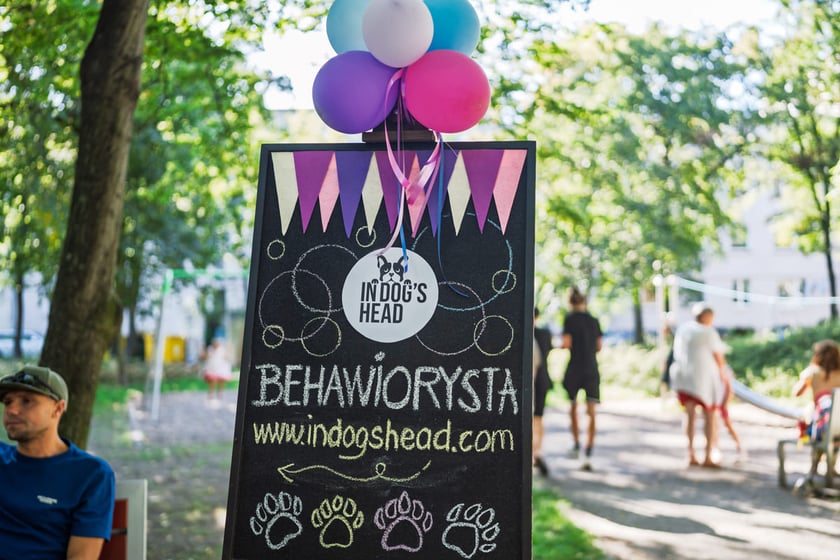 Festyn podw&oacute;rkowy "Dbam to mam" przy ul. Fiołkowej. Wrocław, 12.08.2025
