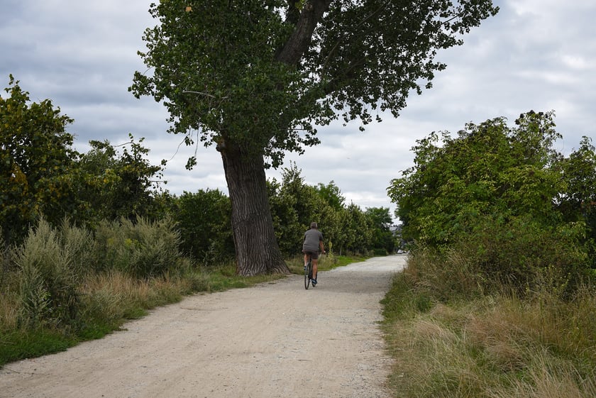 Droga dojazdowa i most nad Ślęzą łączący Muchobory, sierpnień 2025